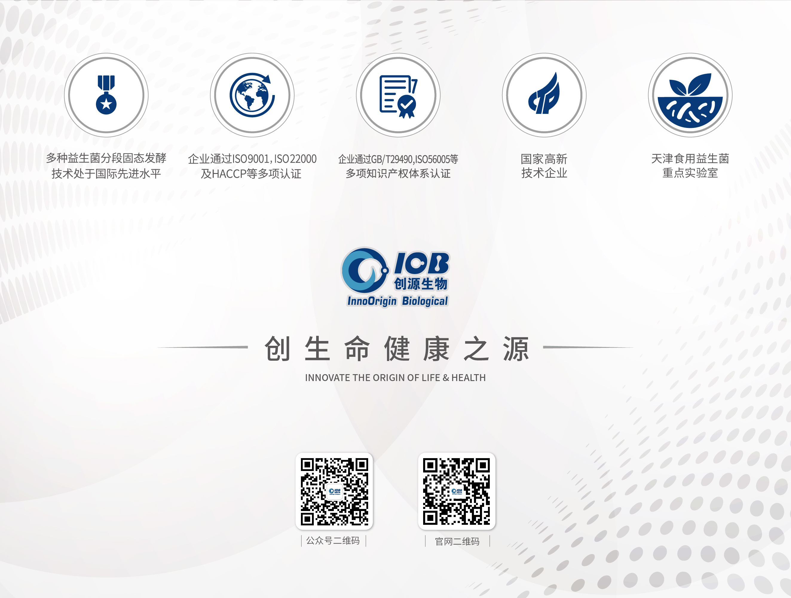 底图2码图.jpg